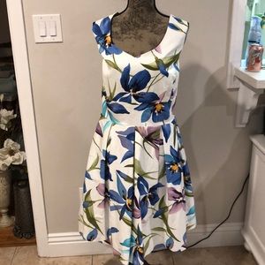 Pretty white fit and flare floral dress